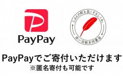 PayPayˤ